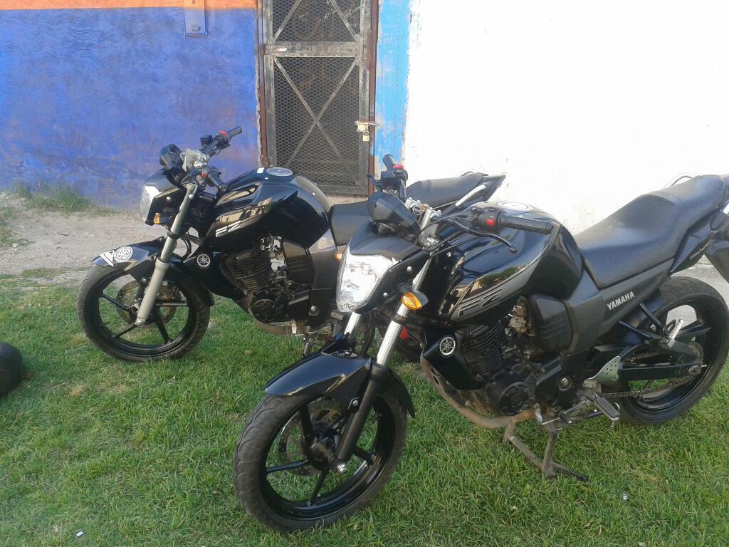 Vendo/permuto Fz 2013