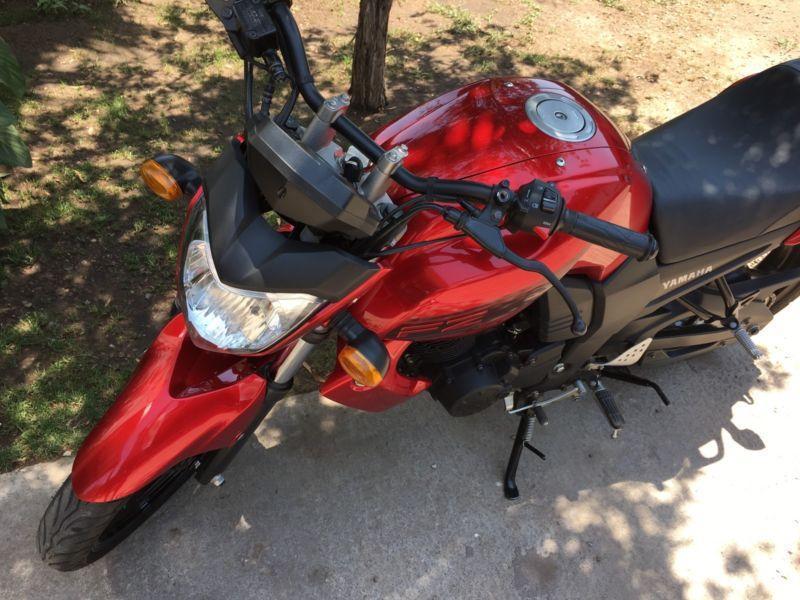 YAMAHA FZ INMACULADA