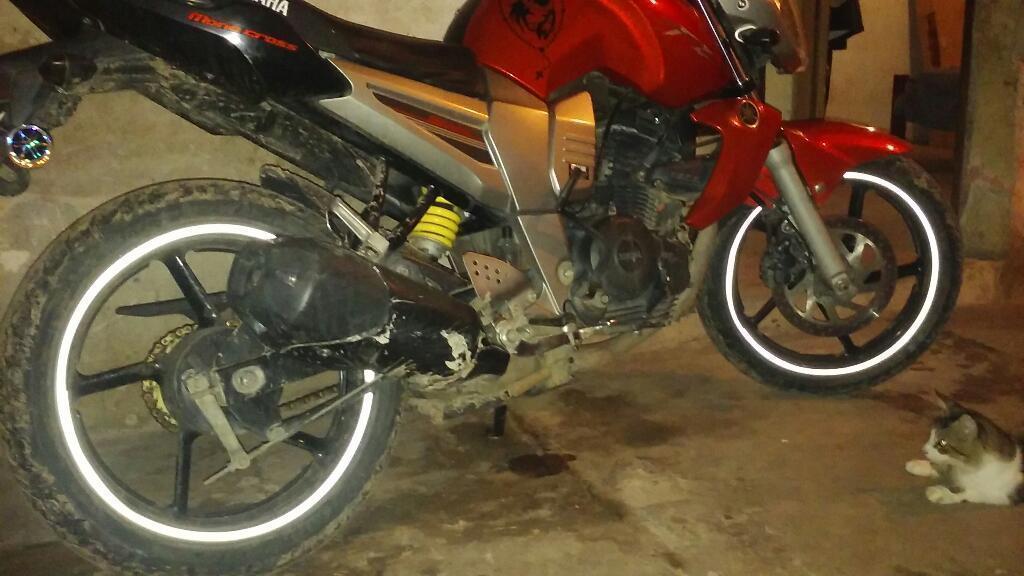 Vendo Fz