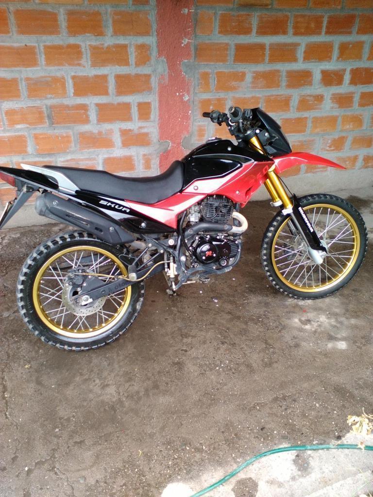 Vendo 250 2013
