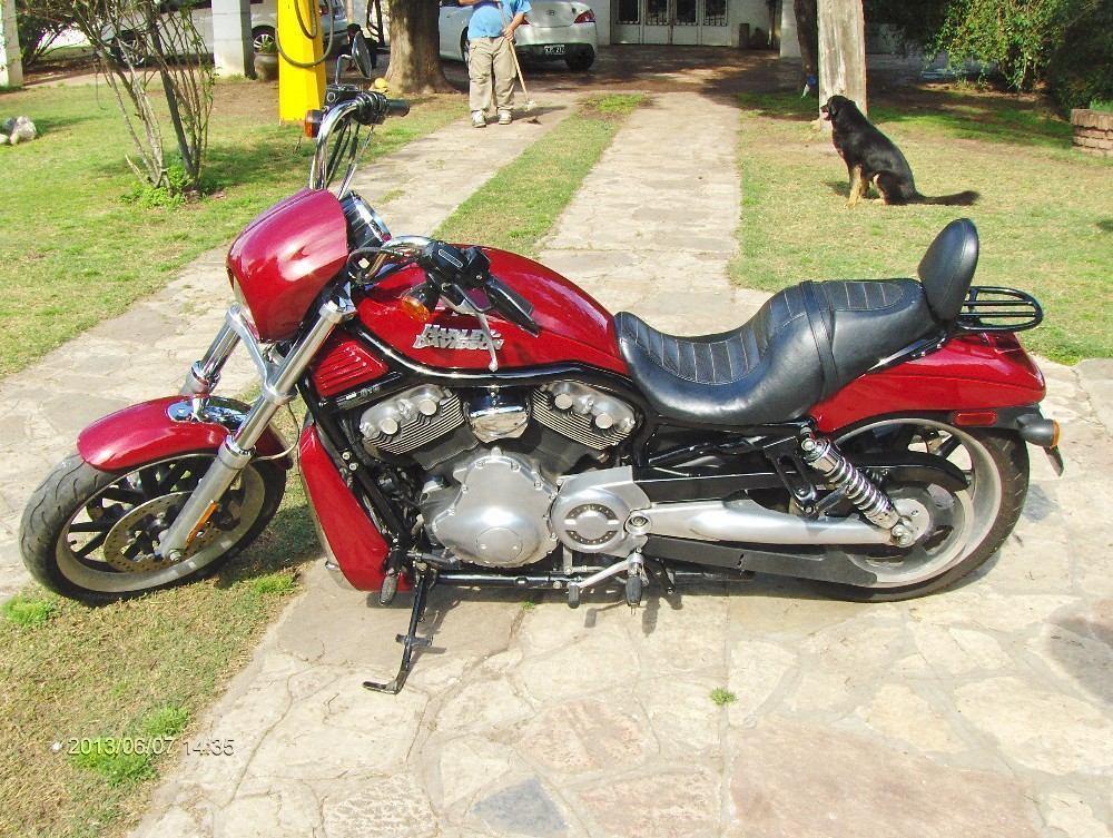 Harley V-rod