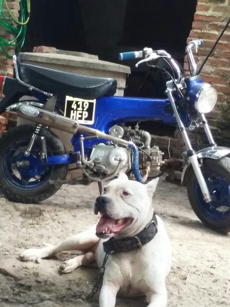 Vendo. O Permuto por Una Baiker