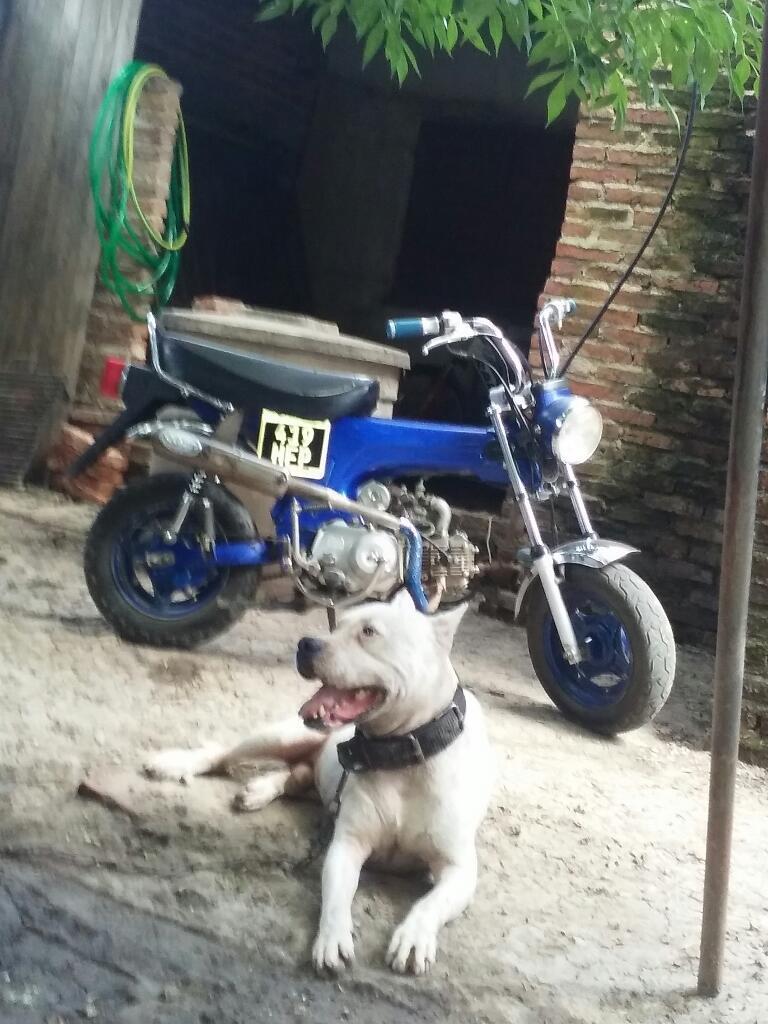 Vendo. O Permuto por Una Baiker