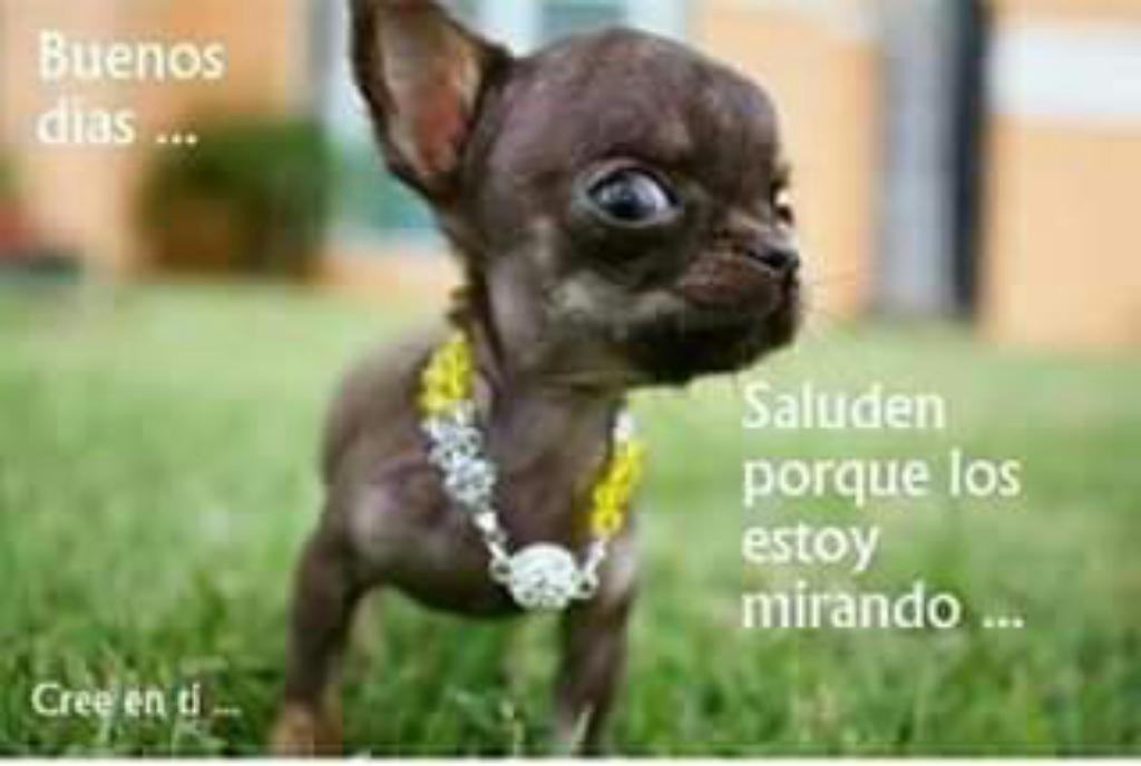 Vendo Una Moto Zanela 200