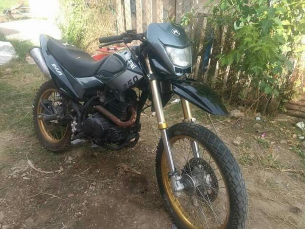 Motomel Skua 250