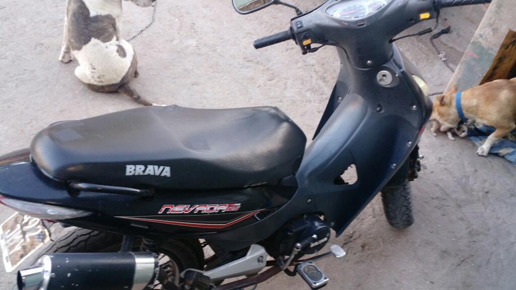 Brava. 12,cc. M 2013