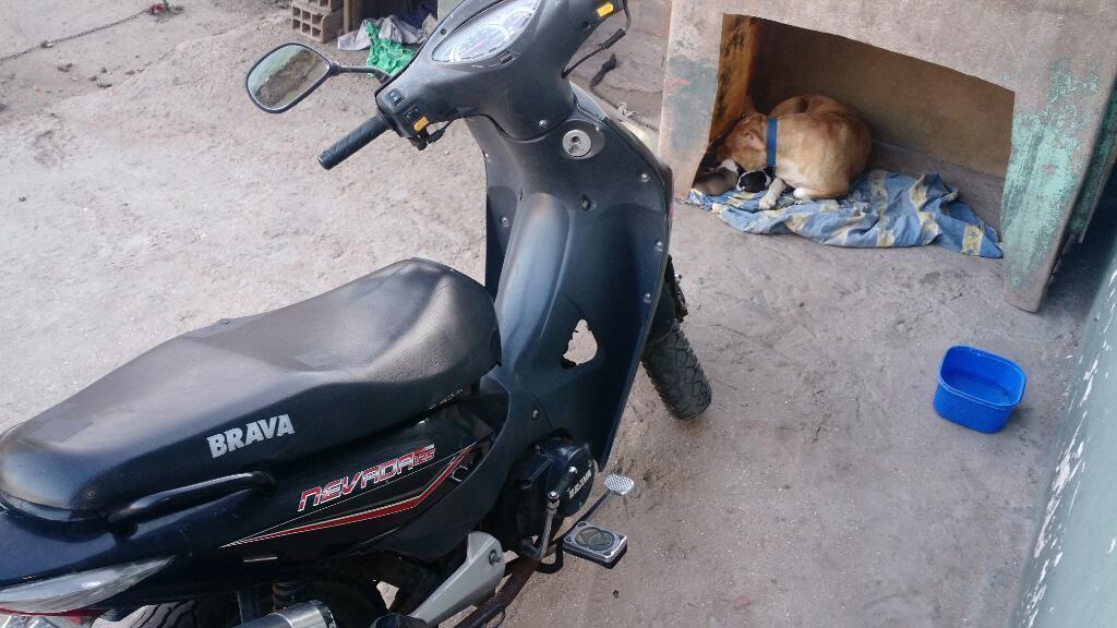 Brava. 12,cc. M 2013