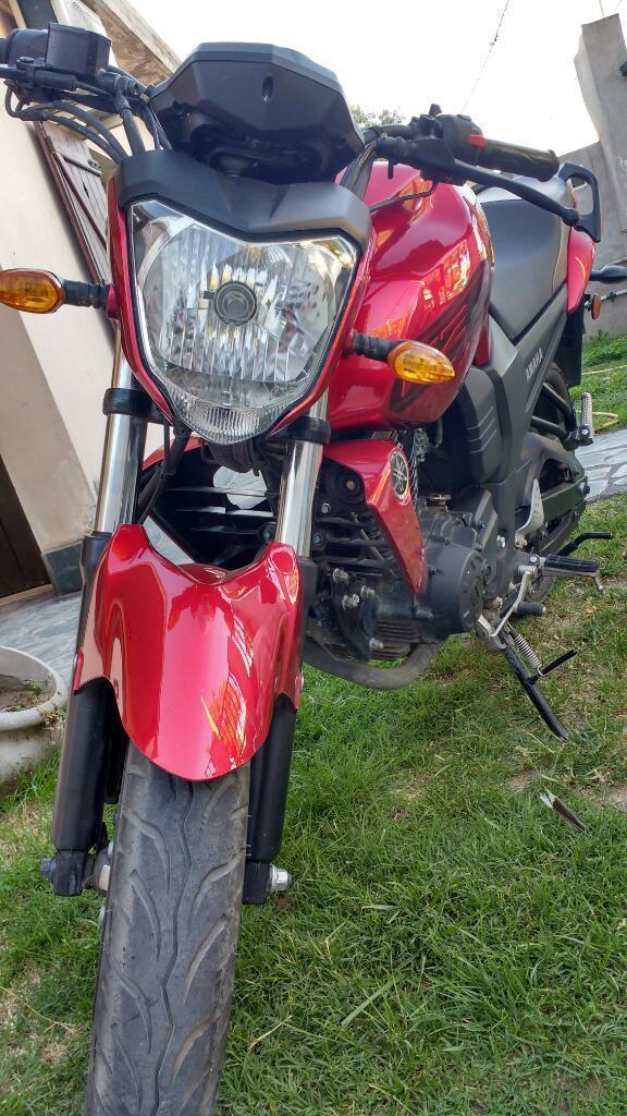 Vendo Fz