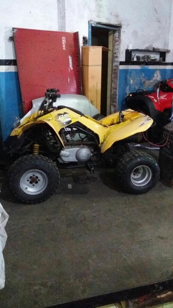 Can-am Ds 250