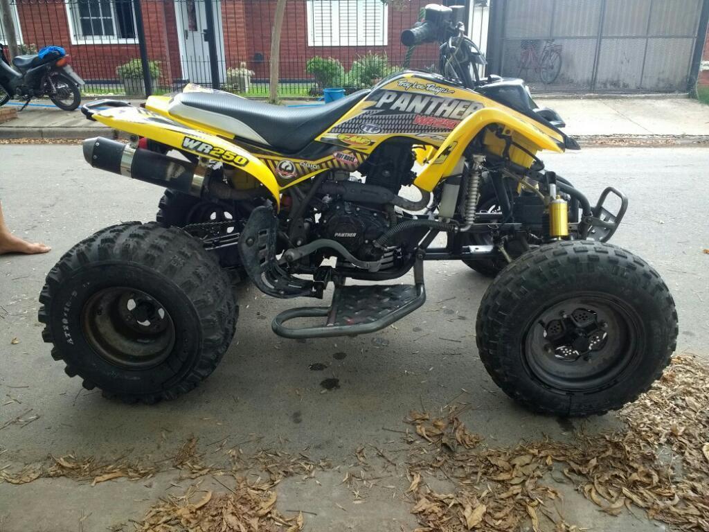 Panther Wr 250