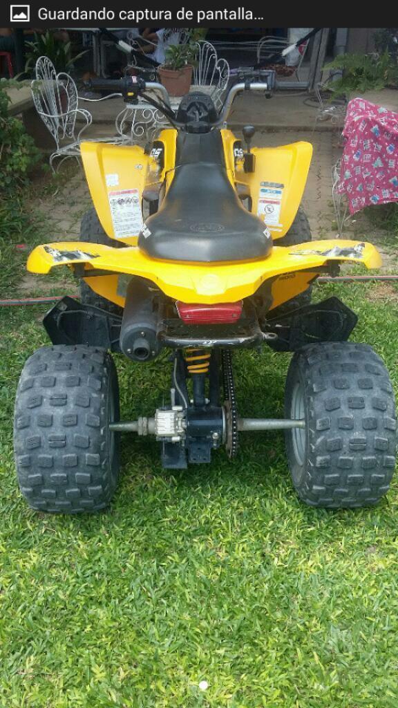 Can Am 250 Ds Modelo 2011