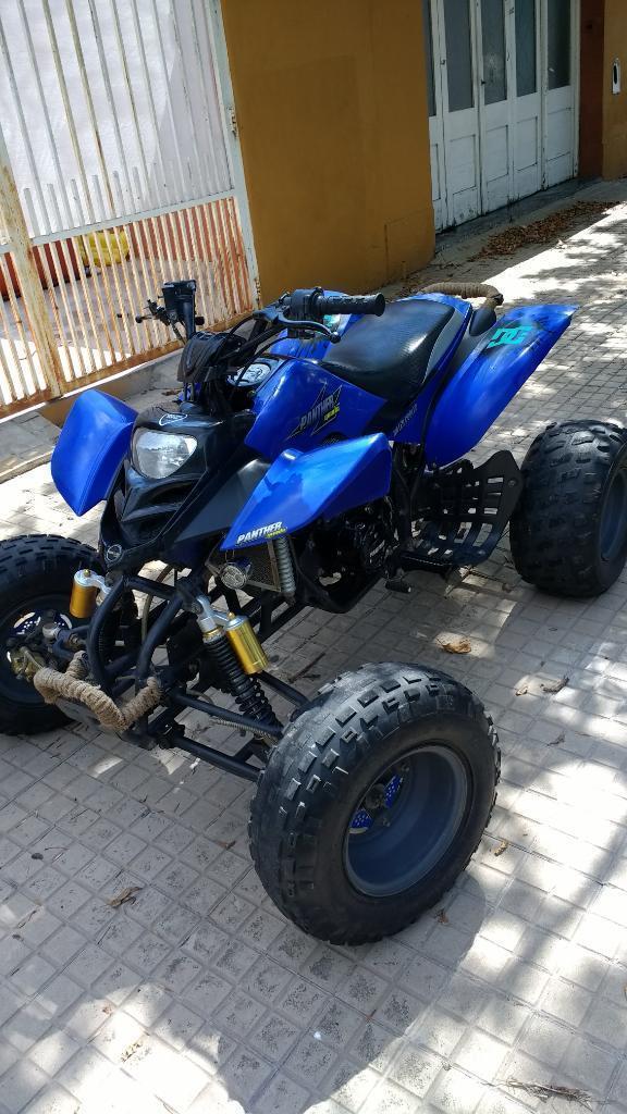 Vendo Panther Wr 250 Impecable