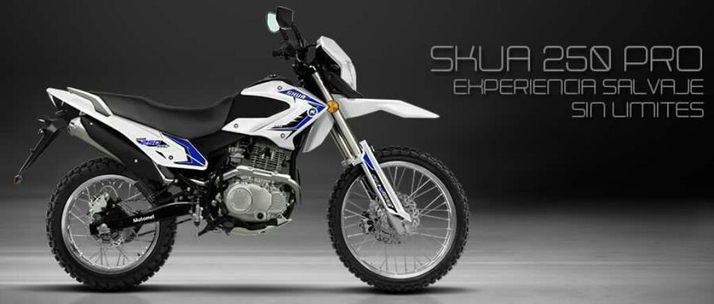 Motomel Skua 250