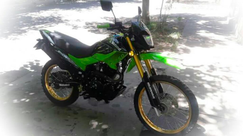 Skua 250 Full - 2015