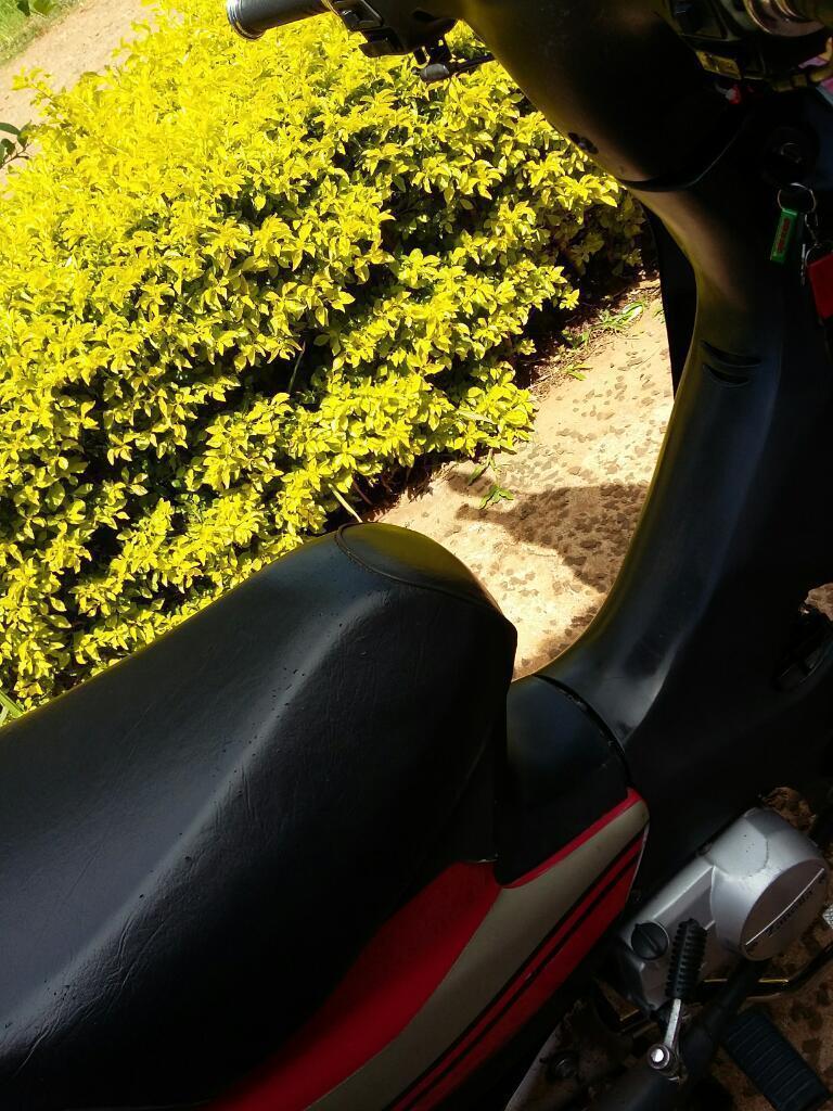 Noble Zb Polenta sin Igual