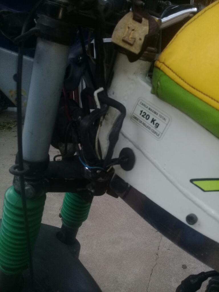 Canotti Modelo Darminio