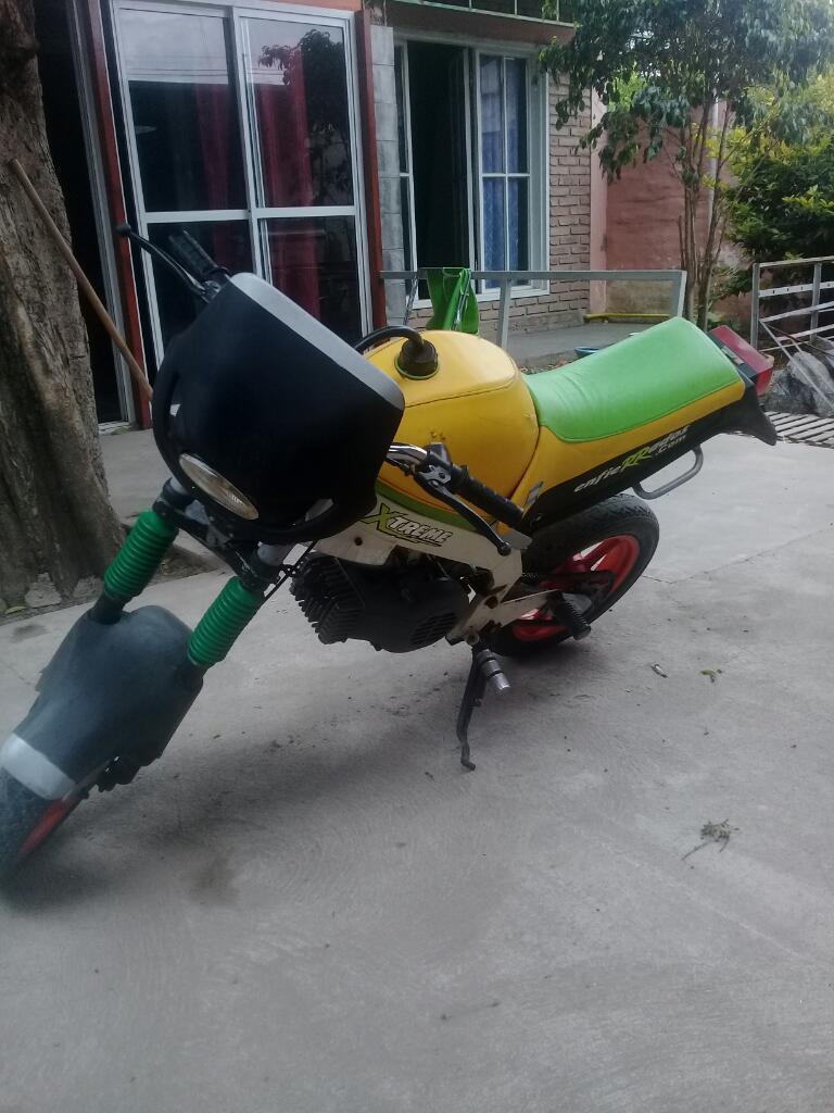 Canotti Modelo Darminio