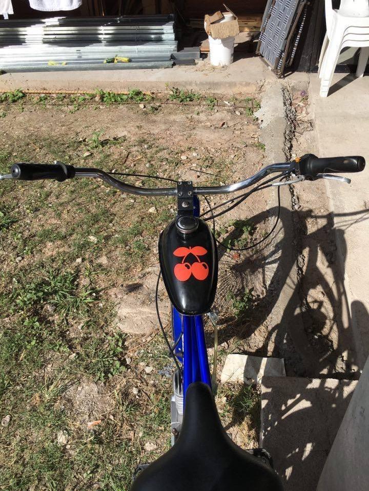 Bicimoto Raleigh 65Cc