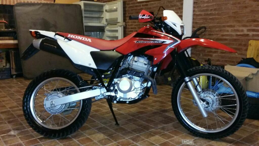 Inmaculado Impecable