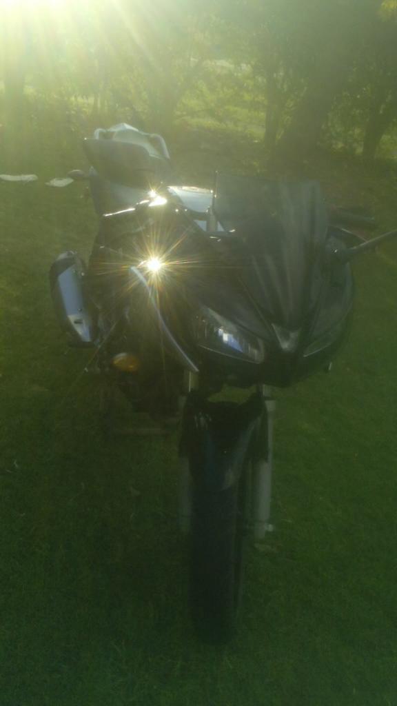 Yamaha Fz St16 Faser