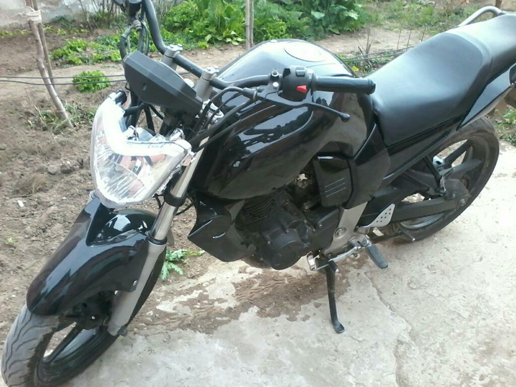 Vendo Fz