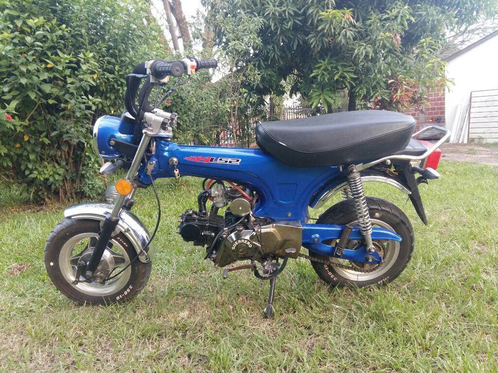 Guerrero 70 Hermosa Tipo Dax