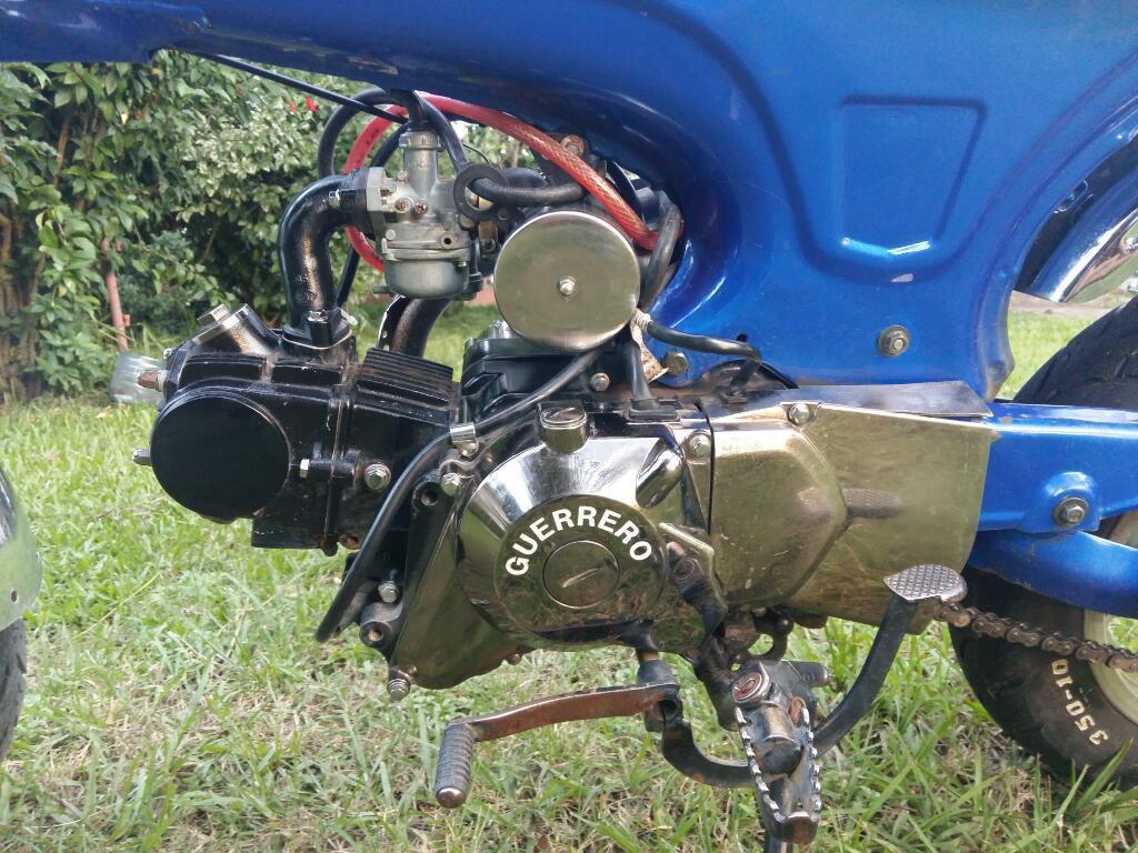 Guerrero 70 Hermosa Tipo Dax