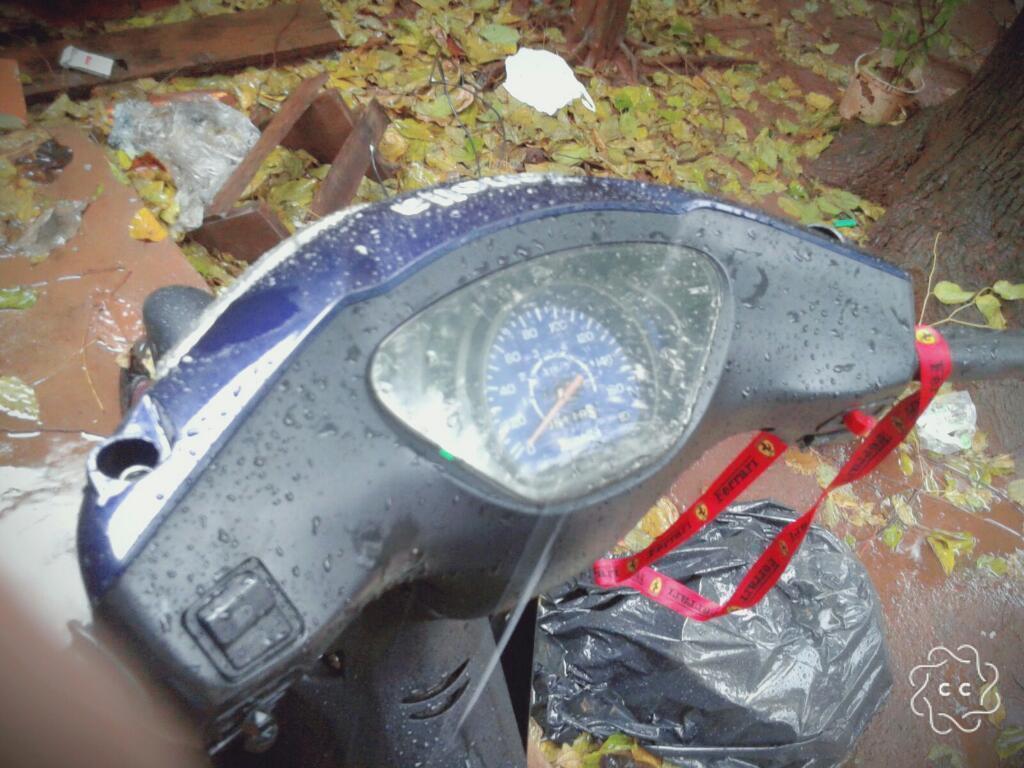 Zanella Zb Todos Sus Papeles