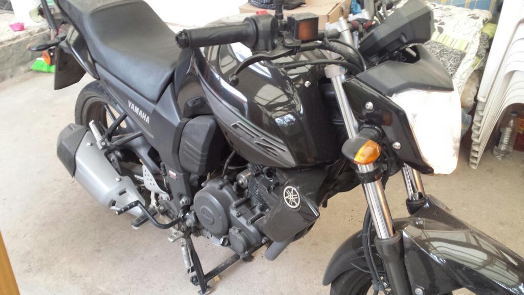 Vendo Fz