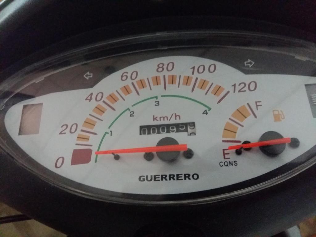 GUERRERO TRIP 110 HERMOSA 96KM