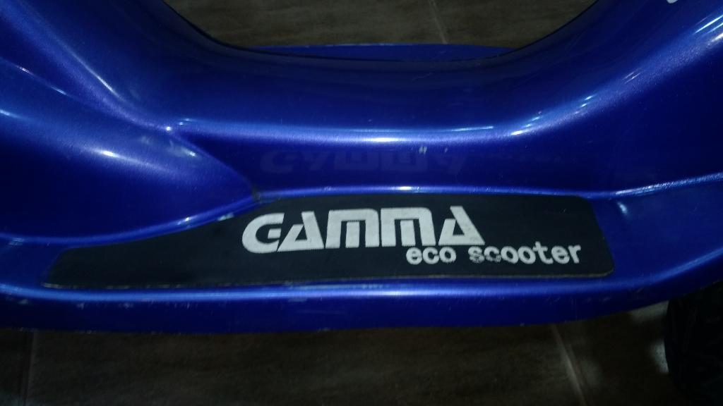 Monopatin Electrico Gamma Eco Scooter