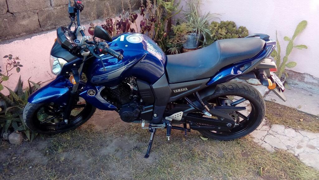 Vendo Fz