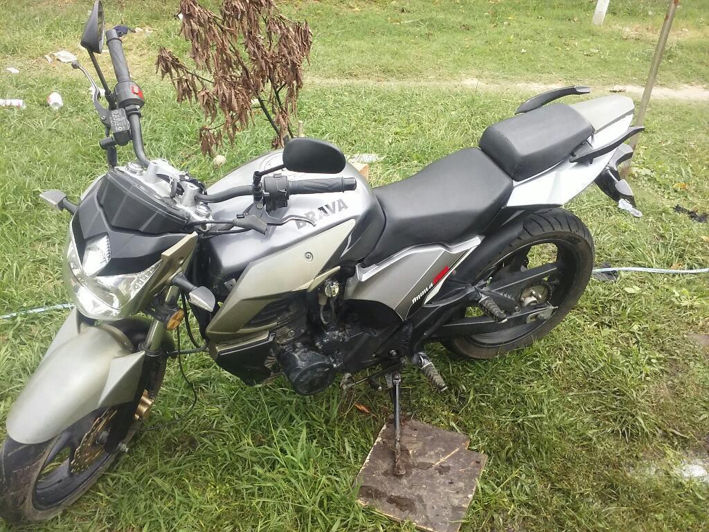 Brava Aquila 200 Papele Al Dia