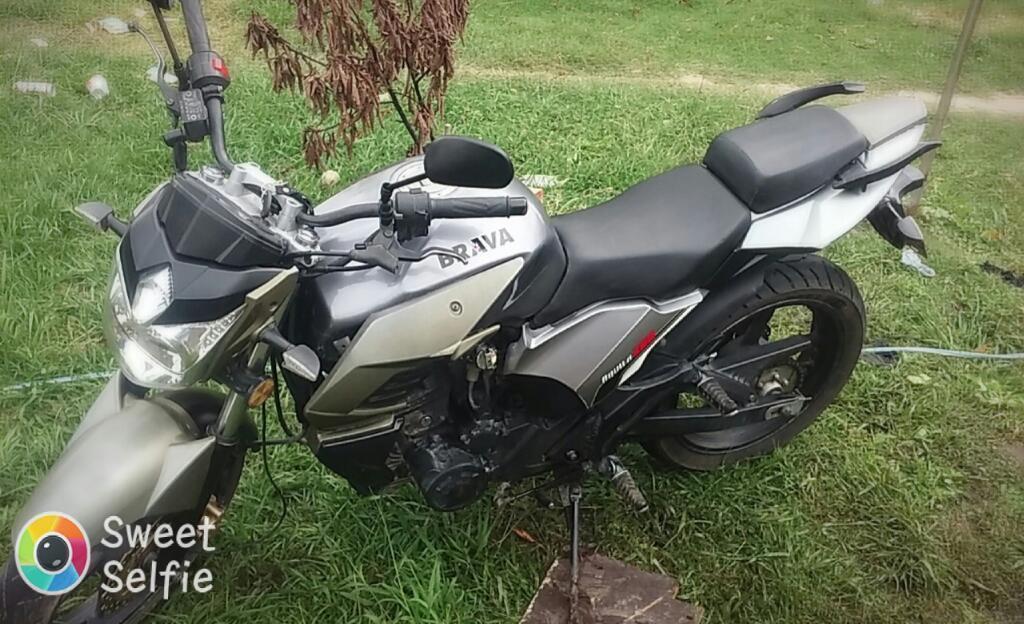 Brava Aquila 200 Papele Al Dia