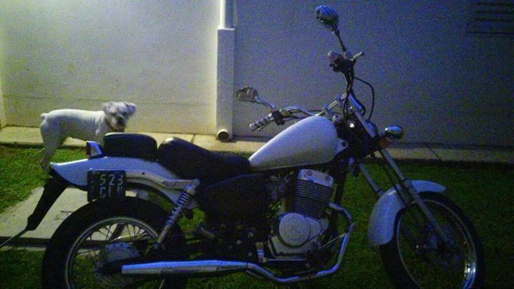 Vendo Motomel Rider 250 cc. Estilo Chopera