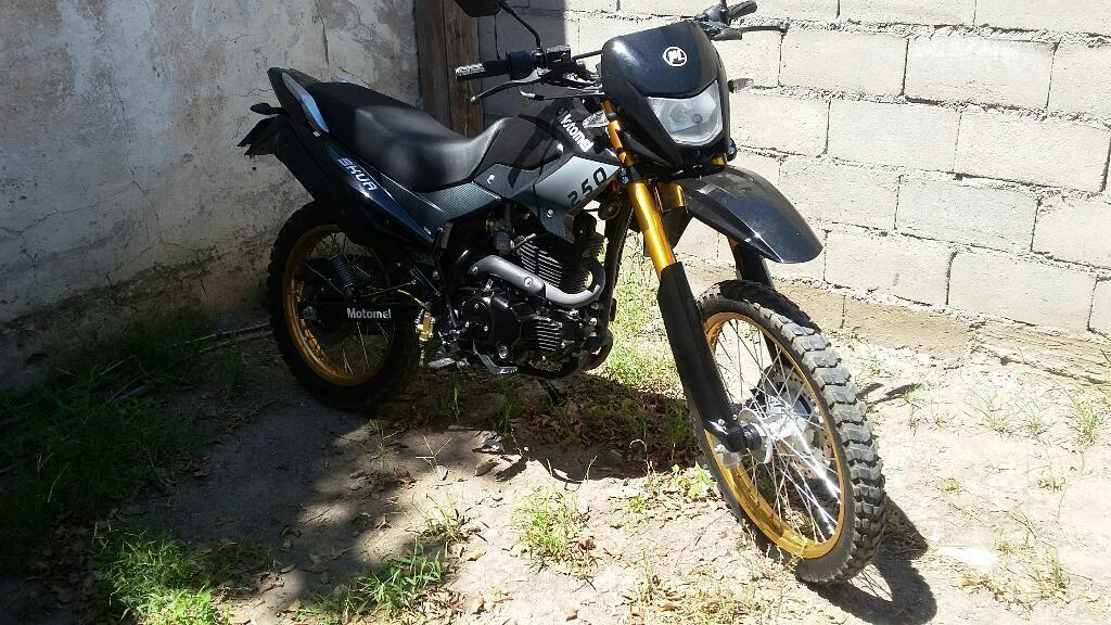 Skua 250