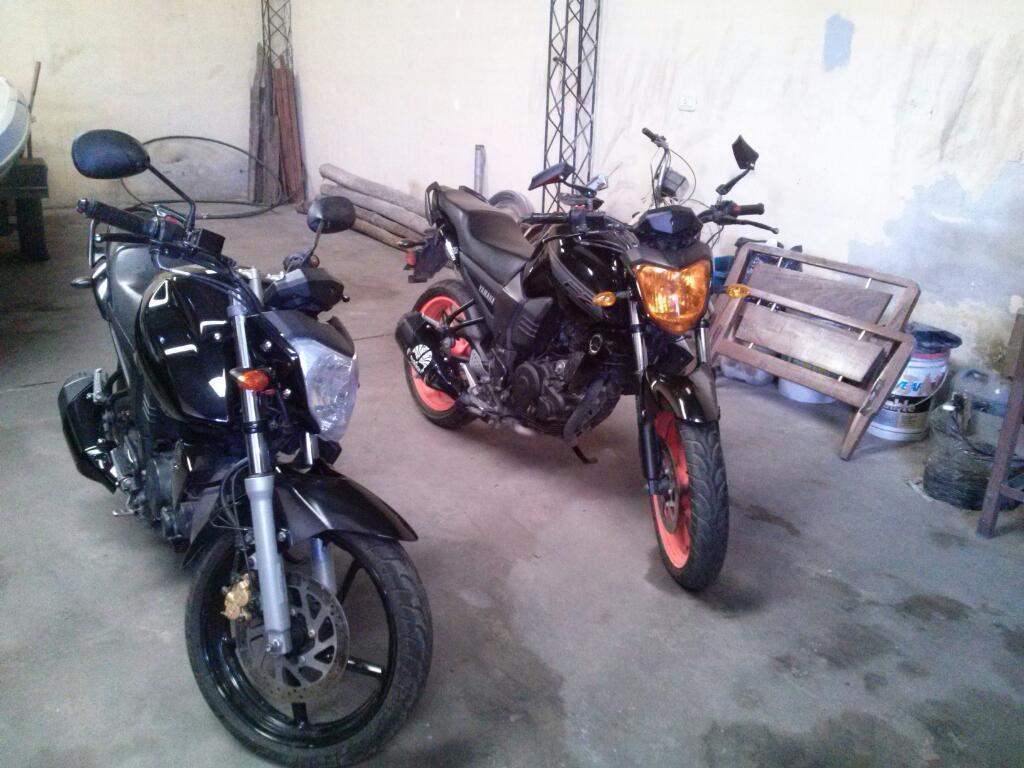 Fz 2013 Y Fz 2015