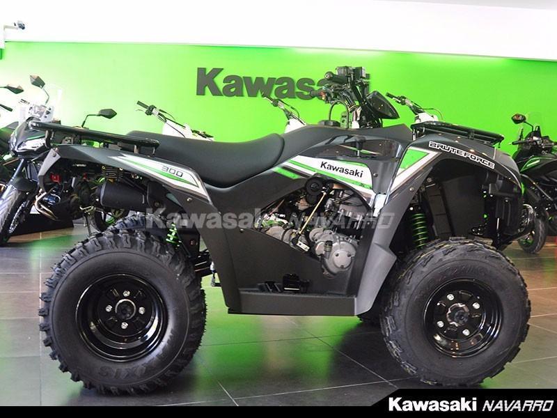 Kawasaki Brute Force 300 Cuatri
