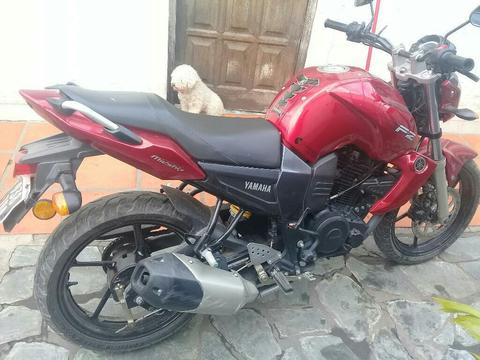 Vendo Fz16