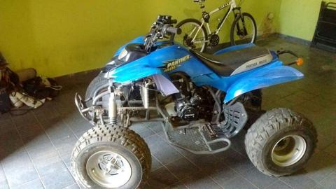 CUATRICICLO PANTHER WR250