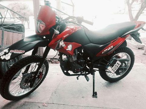 Vendo Zanella 250 2016