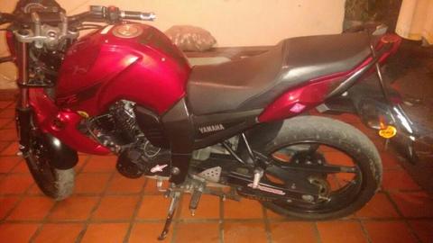 Fz 16 Mod 2013