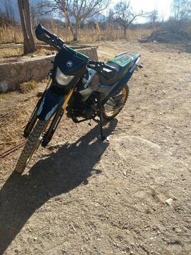 Vendo Skua 250