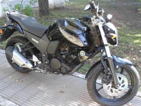 VENDO FZ 16