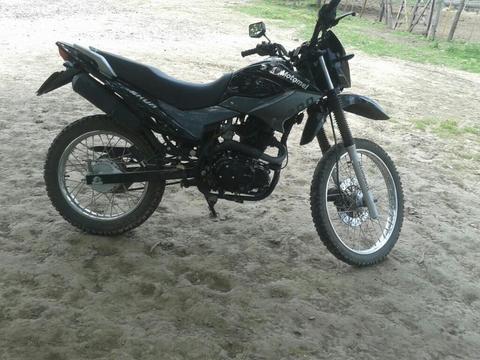 Vendo Skua 200