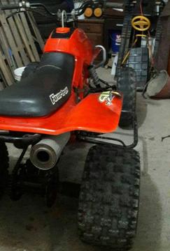 Vendo O Permuto por Auto Honda Trx 250